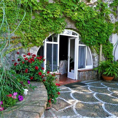 Villa Le Olivine Sorrento Exteriör bild