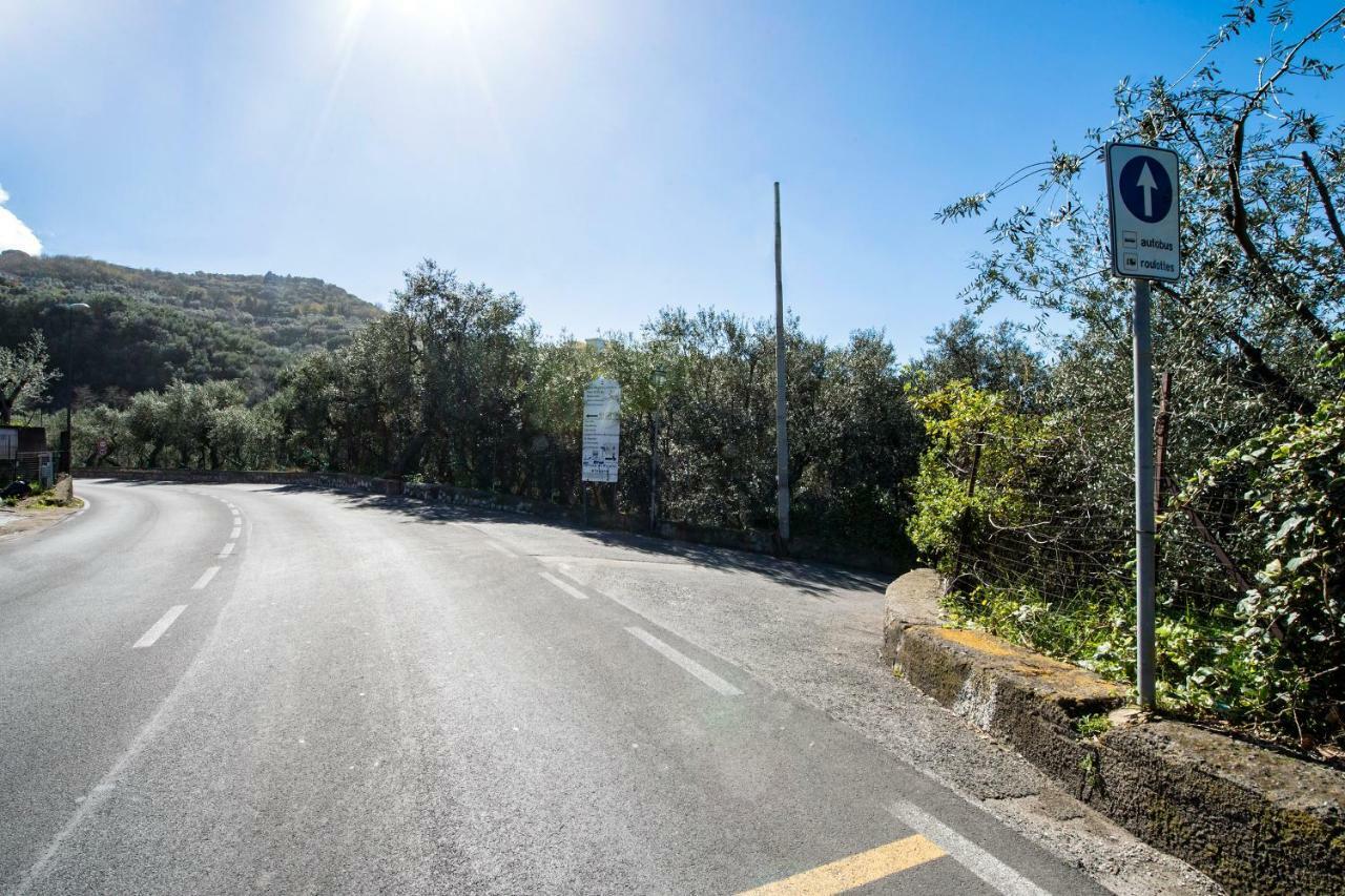 Villa Le Olivine Sorrento Exteriör bild