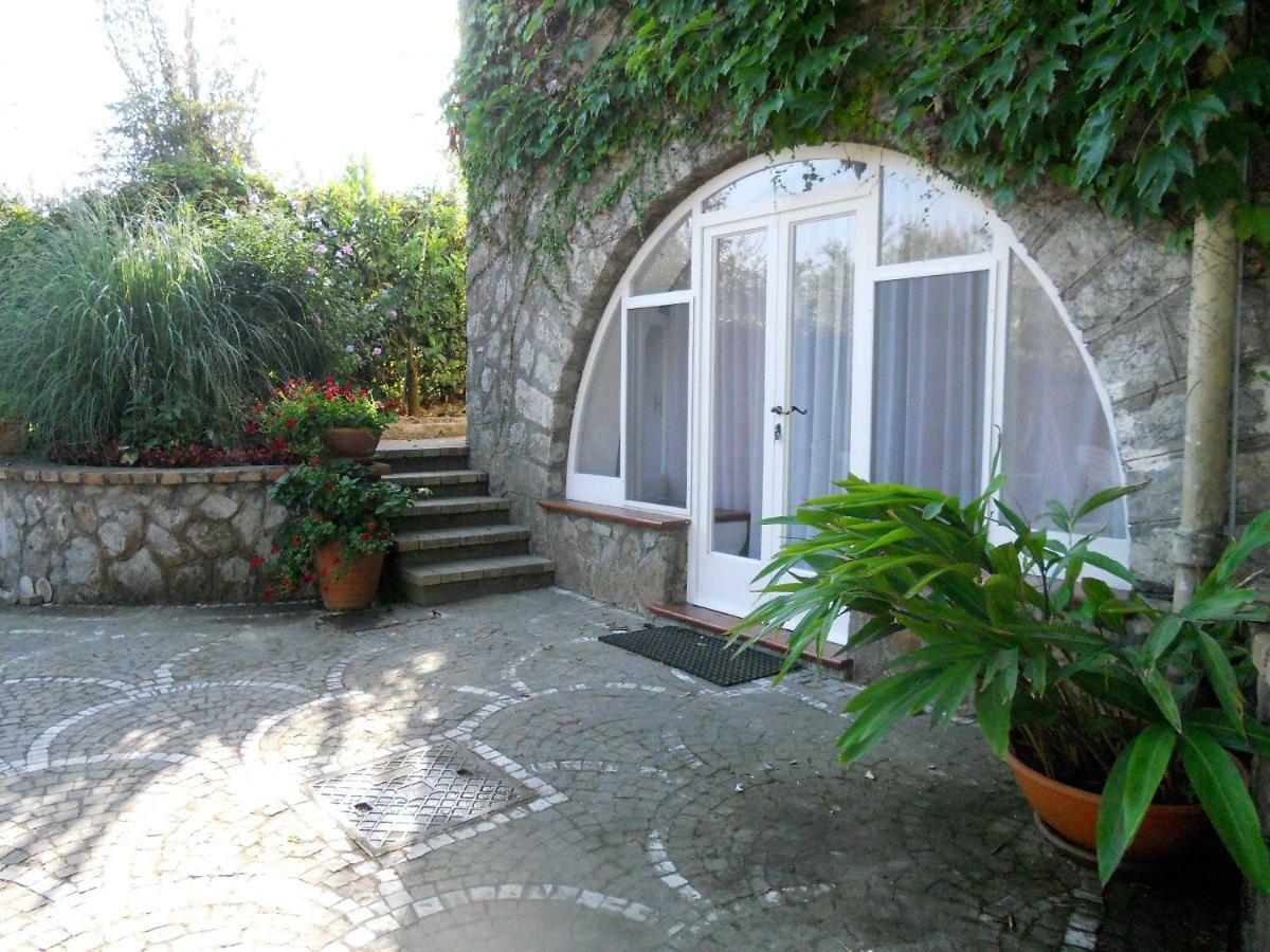 Villa Le Olivine Sorrento Exteriör bild