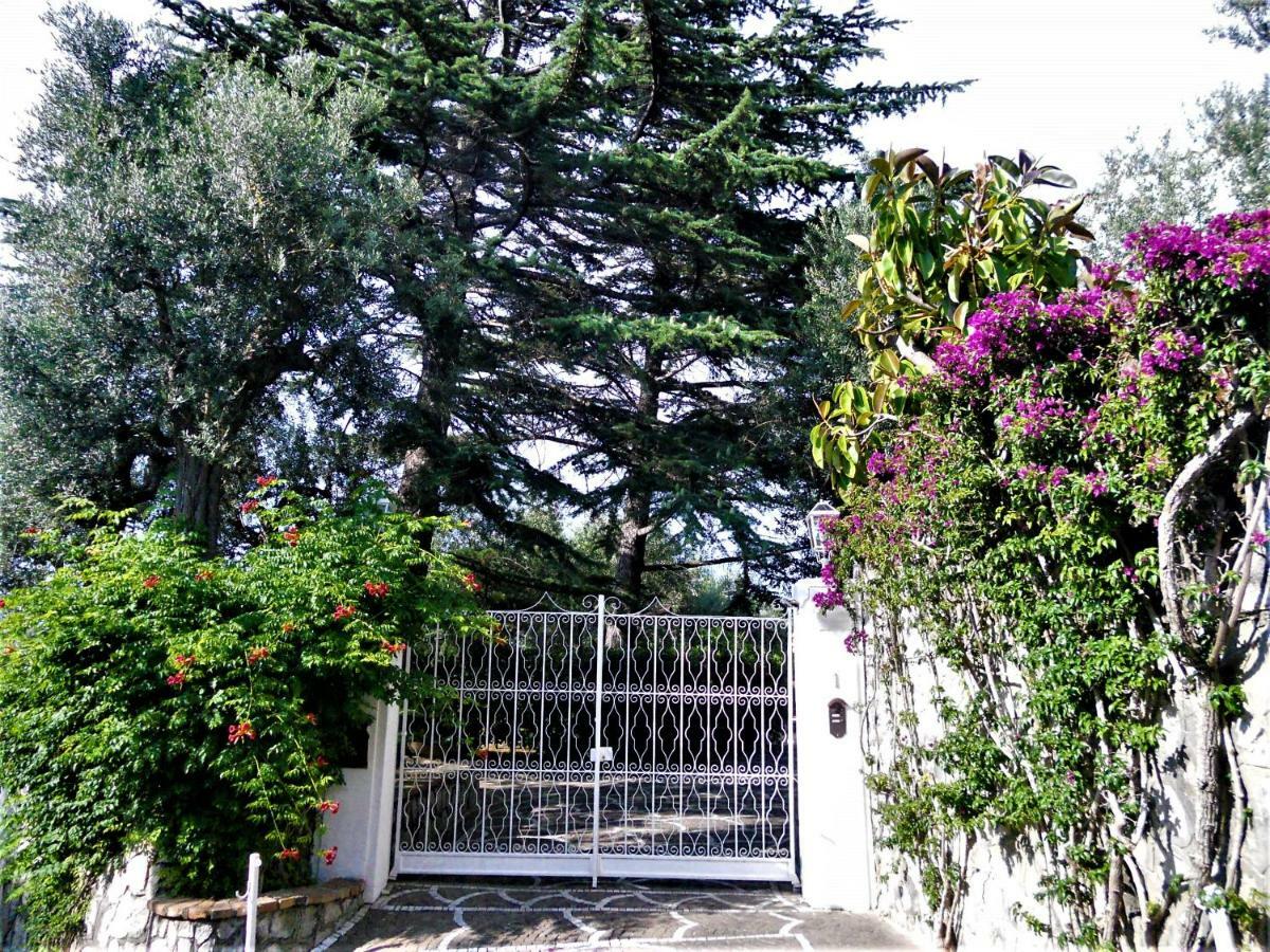 Villa Le Olivine Sorrento Exteriör bild
