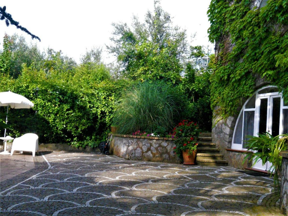 Villa Le Olivine Sorrento Exteriör bild