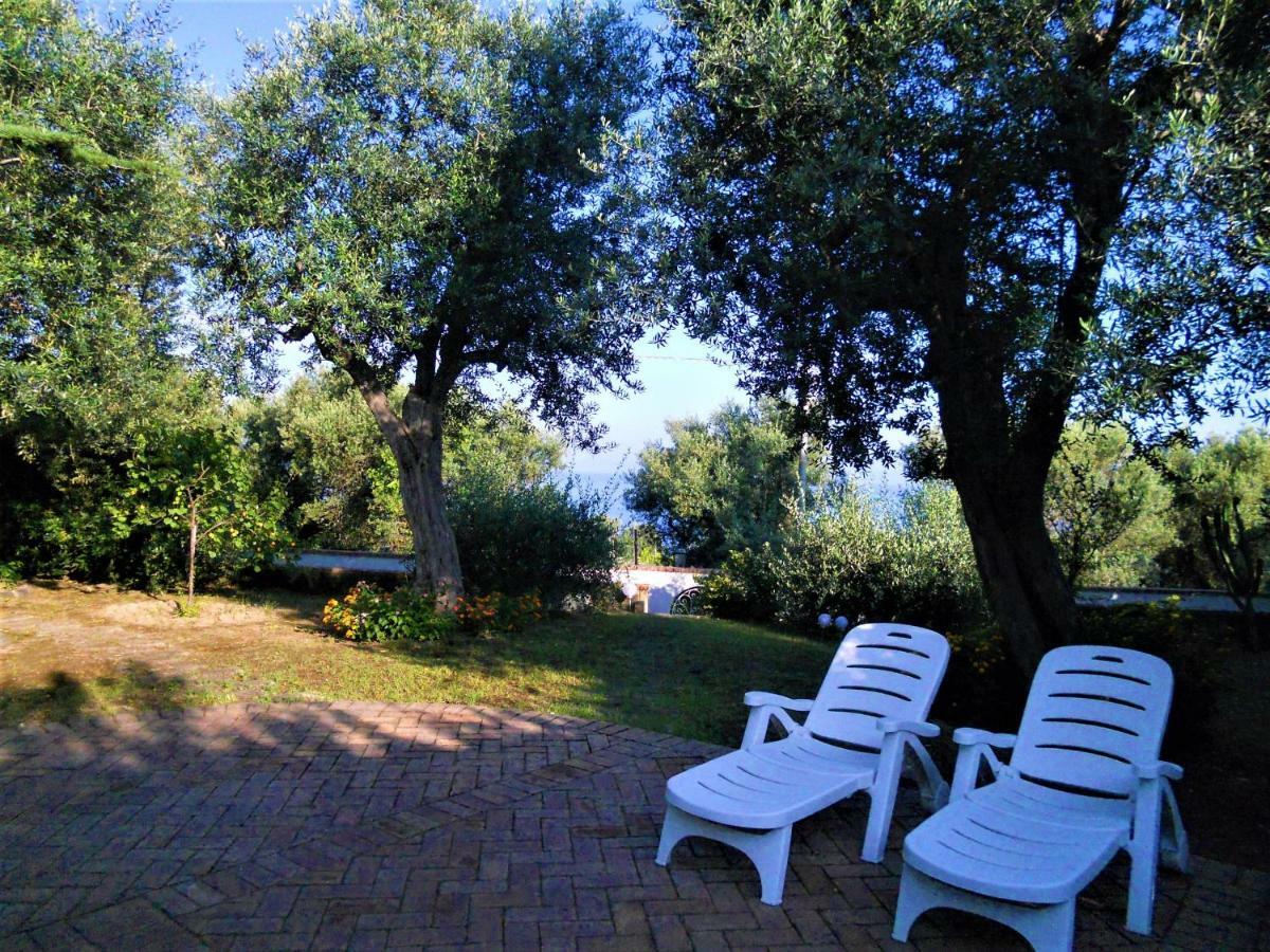 Villa Le Olivine Sorrento Exteriör bild