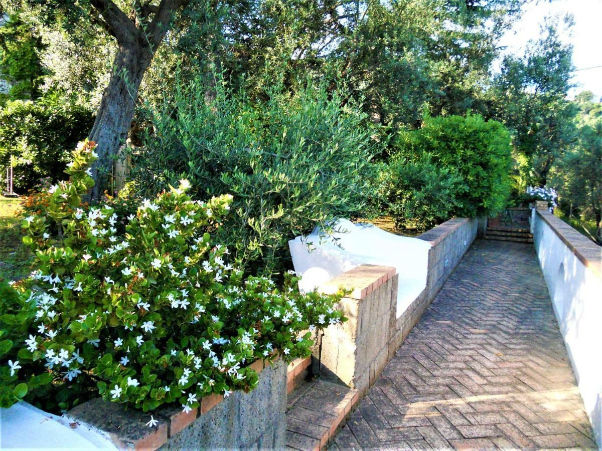 Villa Le Olivine Sorrento Exteriör bild